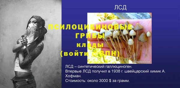 прущая мука Верея